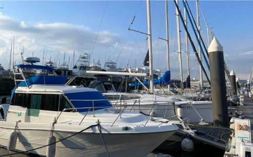 ショートチャータークルージング ペアチケット クルージング 観光 体験 横須賀 神奈川県【株式会社ユニマットプレシャス】 [AKBZ003]