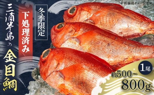 【先行予約】【冬季限定】下ごしらえ済 キンメダイ 約500〜800g 鮮魚 処理済み 下処理済み【長井水産株式会社】 [AKAJ029]