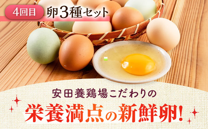 【全6回定期便】横須賀 お手軽 高評価 定期便 [AKZZ029]