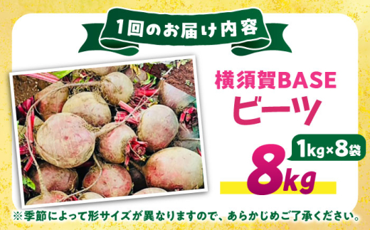 【全3回定期便】横須賀BASEビーツ 8kg（1kg×8袋）【ゆり子ファーム】 [AKCR007]