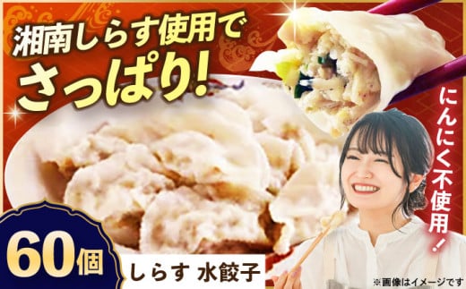 【テレビで紹介されました！】冷凍 しらす 水餃子 60個【横須賀商工会議所 おもてなしギフト事務局（上海亭）】 [AKED007]