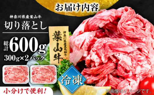 葉山牛 切り落とし300g×2パック 計600g 小分け 牛肉 切り落とし 和牛 きりおとし 横須賀 冷凍  【株式会社羽根】 [AKAG001]