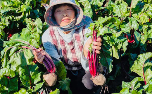 【全6回定期便】横須賀BASEビーツ 8kg（1kg×8袋）【ゆり子ファーム】 [AKCR008]