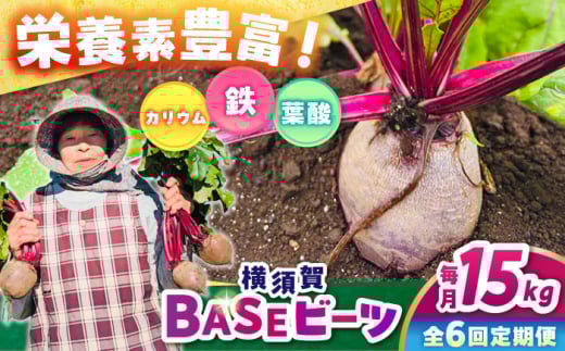 【全6回定期便】横須賀BASEビーツ 15kg（1kg×15袋）【ゆり子ファーム】 [AKCR015]