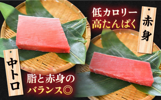 【全6回定期便】天然 まぐろ 大トロ・中トロ・赤身（約200ｇ×3柵）約600ｇ 鮪 マグロ 魚 刺身 横須賀【本まぐろ直売所】 [AKAK081]