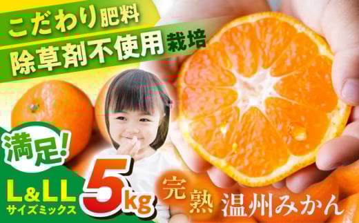 【先行予約】【嬉しい年末発送】【数量限定300セット】温州みかん　Lサイズ＆LLサイズ 5kg　 津久井浜みかん 蜜柑 ミカン 果物 柑橘 フルーツ 横須賀 みかん 農園みかん 温州みかん 温州ミカン 　【志村農園】 [AKGH008]