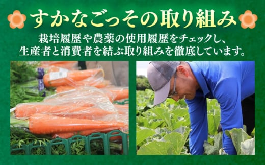 【全3回定期便】よこすか野菜セット すかなボックス 野菜 お野菜 季節野菜 やさい 詰め合わせ 詰合せ セット お楽しみ 産地直送 旬 厳選 すかなごっそ 農産物 神奈川県 横須賀市【JAよこすか葉山】 [AKFO007]