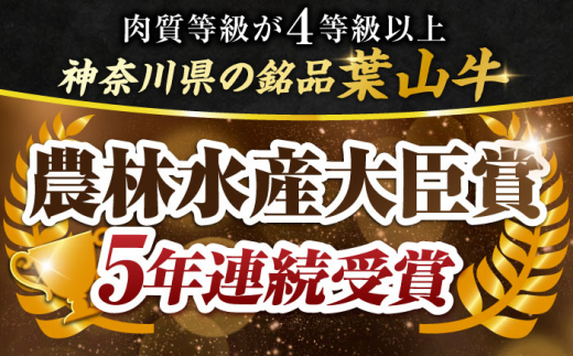 葉山牛 切り落とし300g×4パック 計1.2kg 小分け 牛肉 切り落とし 横須賀 冷凍 【株式会社羽根】 [AKAG003]