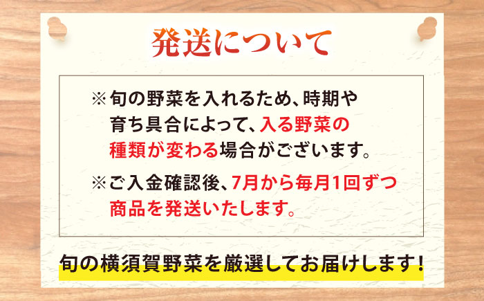 【先行予約】【全2回定期便】夏の汎用野菜セット（5〜6品目）夏（7月〜8月）【鈴也ファーム】 [AKCE028]