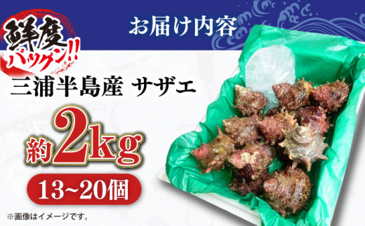 三浦半島 サザエ 中サイズ 約2kg 13〜20個  さざえ 産地直送 貝 冷蔵 【長井水産株式会社】 [AKAJ005]