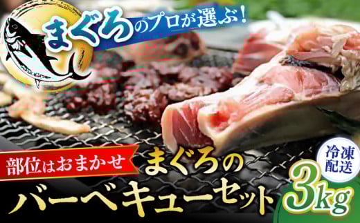 まぐろ おまかせバーベキューセット 冷凍約3kg 鮪 マグロ BBQ 魚 横須賀【横須賀商工会議所 おもてなしギフト事務局（本まぐろ直売所 横須賀本店）】 [AKAK004]