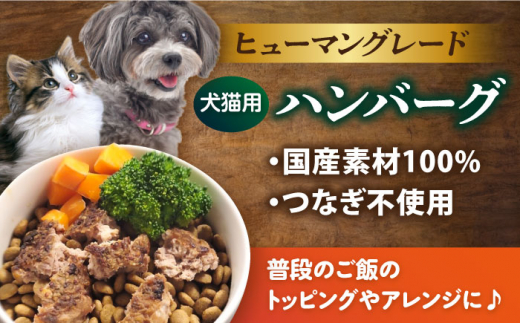 ペットフード 鹿肉 100%ハンバーグ 10個セット ペット 犬 猫 手作り 国産 てづくり こだわり ドッグフード  横須賀 【ペットフードYM japan】 [AKEX010]