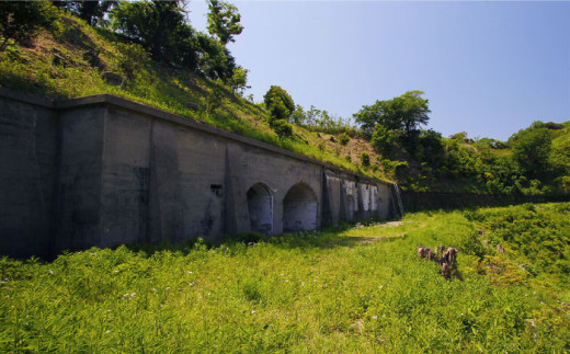 オリジナルTシャツ CHIYOGASAKI メンズMサイズ 横須賀 【ファーマシーガーデン浦賀】 [AKBG005]