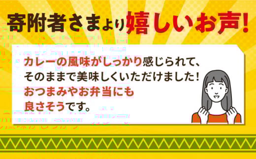 本気のカレーコロッケ20個 0.8kg カレー ころっけ 惣菜 お弁当 パーティ 大人数 揚げ物 横須賀【三富屋商事株式会社】 [AKFJ017]