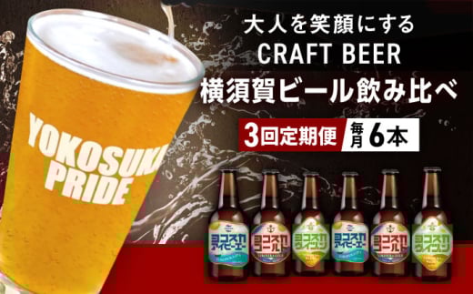 【全3回定期便】飲み比べ ビール 3種　6本セット （330ml瓶×計18本）クラフトビール 【有限会社たのし屋本舗】 [AKAE050]