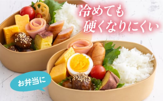 【数量限定100セット】令和7年産 お米 はるみ 5kg 米 お米 こめ おこめ コメ さっぱり 粘り うま味 精米 はるみ 神奈川県 神奈川 特Ａ ランキング  【株式会社ヨコショク】 [AKGC001]
