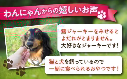 【全12回定期便】いのししジャーキー（60g×2袋） ペット 犬 猫 手作り 国産 てづくり こだわり ドッグフード  横須賀 【ペットフードYM japan】 [AKEX025]