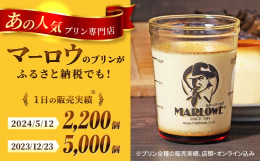 葉山ビーカープリン パーティーアソート セット 6種×2個 詰め合わせプリン (カスタード / かぼちゃ / 抹茶 / 北海道フレッシュクリーム / エスプレッソ / チョコレート) 食べ比べ プリン ぷりん デザート おやつ 贅沢 プリン 横須賀 【マーロウ】 [AKAF004]