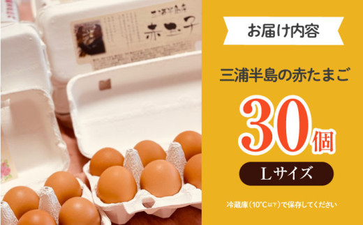 餌にこだわった三浦半島産赤たまご 30個 卵 たまご 【横須賀商工会議所　おもてなしギフト事務局（岩沢ポートリー）】 [AKET004]
