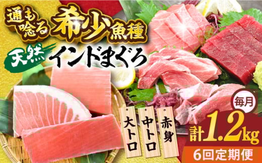【全6回定期便】天然 まぐろ 大トロ・中トロ・赤身（約200ｇ×6柵）約1200ｇ 鮪 マグロ 魚 刺身 横須賀【本まぐろ直売所】 [AKAK084]