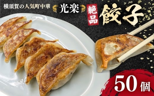 冷凍餃子 50個セット 【光楽】 [AKGZ001]