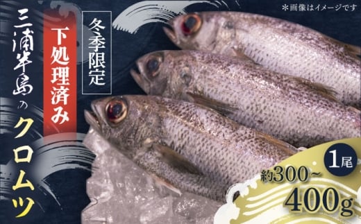 【先行予約】【冬季限定】下ごしらえ済 クロムツ 約300〜400g　1尾 鮮魚 処理済み 下処理済み【長井水産株式会社】 [AKAJ030]