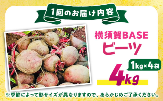 【全3回定期便】横須賀BASEビーツ 4kg（1kg×4袋）【ゆり子ファーム】 [AKCR004]
