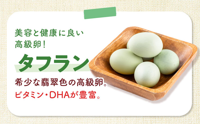 【全6回定期便】安田養鶏場の卵 3種セット しおさい アトムくん タフラン 30個入り（各10個入り） 横須賀市 産地直送 割れ保証付き たまご 黄身 濃厚 卵 玉子 タマゴ 鶏卵  【安田養鶏場】 [AKHN012]