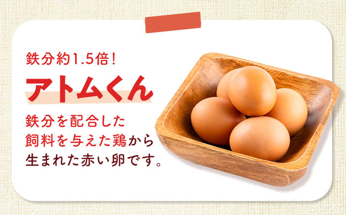 安田養鶏場の卵 3種セット しおさい アトムくん タフラン 60個入り（各20個入り） 横須賀市 産地直送 割れ保証付き たまご 黄身 濃厚 卵 玉子 タマゴ 鶏卵【安田養鶏場】 [AKHN007]