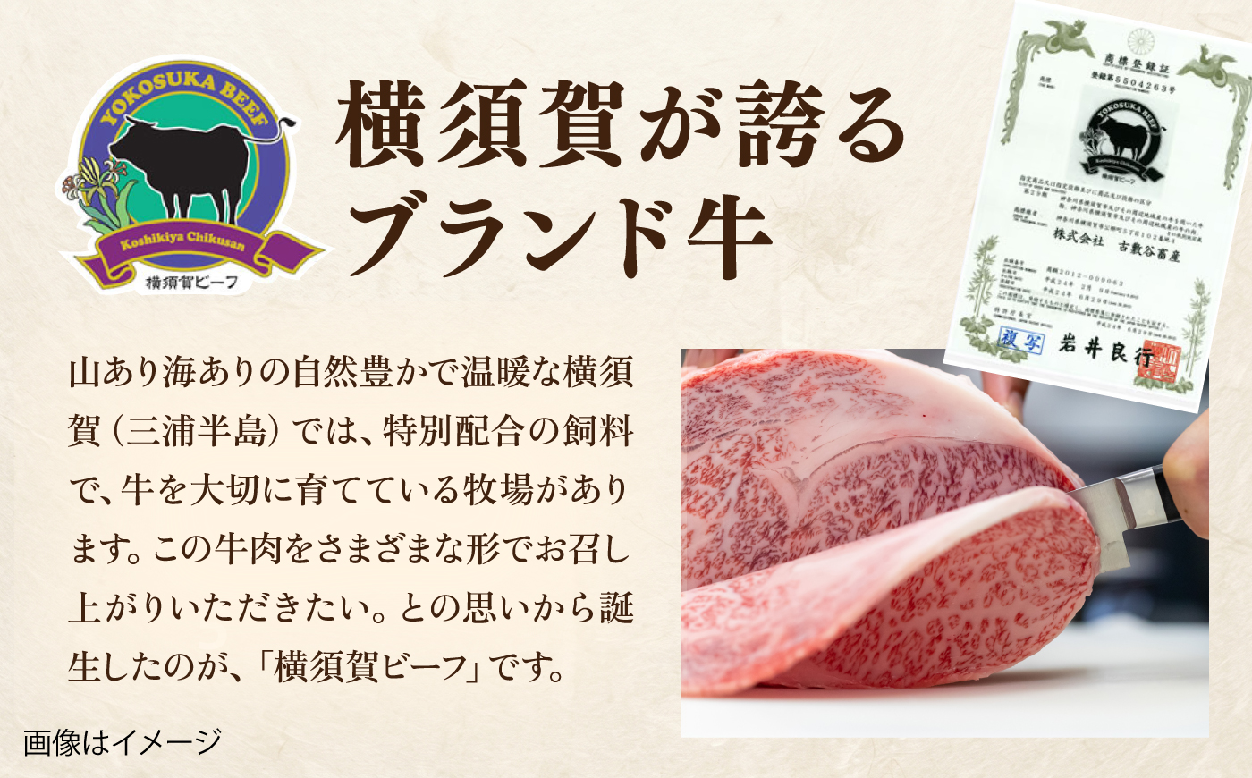 【数量限定20セット】横須賀ビーフ 切り落とし 約500g 【ヨコスカマルシェ・koshikiya（株）】 [AKGO010]