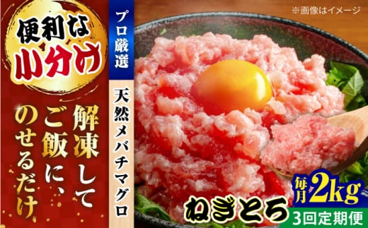 【全3回定期便】まぐろ ねぎとろ 約2kg（約250g×8パック） 鮪 マグロ 魚 ネギトロ 横須賀【本まぐろ直売所】 [AKAK038]
