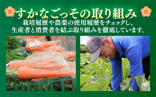 よこすか野菜セット すかなボックス 野菜 お野菜 季節野菜 やさい 詰め合わせ 詰合せ セット お楽しみ 産地直送 旬 厳選 すかなごっそ 農産物 神奈川県 横須賀市【JAよこすか葉山】 [AKFO001]