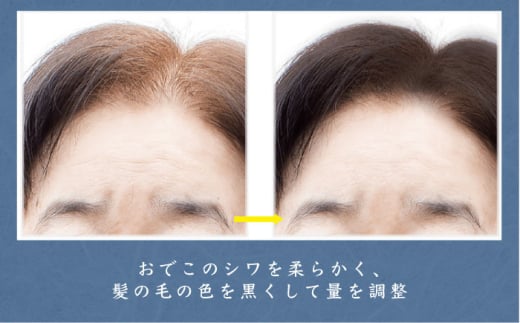 生前遺影制作 ふるさと横須賀に残る両親や大切な人のために 記念 写真 思い出 【コトマノ】 [AKEV004]