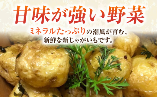 【先行予約】新じゃが きたあかり 約5kg 野菜 やさい 【鈴也ファーム】 [AKCE021]