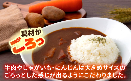 F・マリノスKURIHAMAカレー 220ｇ×5個セット マリノス カレー 横須賀 久里浜 レトルト  保存食【久里浜商店会協同組合】 [AKCA001]