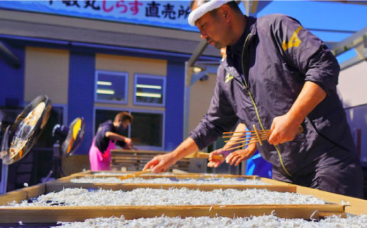 釜揚げ 湘南しらす 1kg×２P / しらす 湘南 ふわふわ 食感 冷凍 国産 シラス お取り寄せ 人気 大容量 佐島 横須賀 かながわブランド 神奈川県【平敏丸】 [AKEZ004]