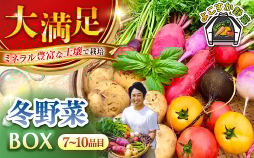 すずなり採れたて野菜BOX（7～10品目）冬（12月～2月）野菜セット 詰め合わせ 季節野菜 やさい 産地直送 旬 新鮮【鈴也ファーム】 [AKCE003]
