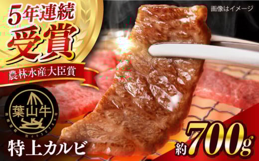 【数量限定20セット】葉山牛 特上カルビ 焼肉用 計約700g（約350g×2pc） 焼肉 やきにく 焼き肉 牛肉 かるび カルビ バーベキュー 和牛 ブランド 絶品 高級 極上 人気 おすすめ オススメ 葉山牛 神奈川県 横須賀市 冷凍【ヨコスカマルシェ・koshikiya（株）】 [AKGO006]