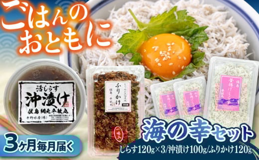 【全3回定期便】 海の幸セット（沖漬け×1・ふりかけ×1・湘南しらす×3）/ 海の幸 しらす 湘南 ふりかけ 沖漬け 朝ごはん ちりめん 佃煮 国産 シラス お取り寄せ 人気 冷凍 佐島 横須賀 かながわブランド 神奈川県【平敏丸】 [AKEZ018]