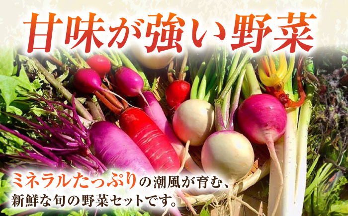 【先行予約】【全2回定期便】夏の汎用野菜セット（5〜6品目）夏（7月〜8月）【鈴也ファーム】 [AKCE028]