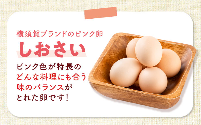 【全3回定期便】安田養鶏場の卵 3種セット しおさい アトムくん タフラン 30個入り（各10個入り） 横須賀市 産地直送 割れ保証付き たまご 黄身 濃厚 卵 玉子 タマゴ 鶏卵  【安田養鶏場】 [AKHN011]