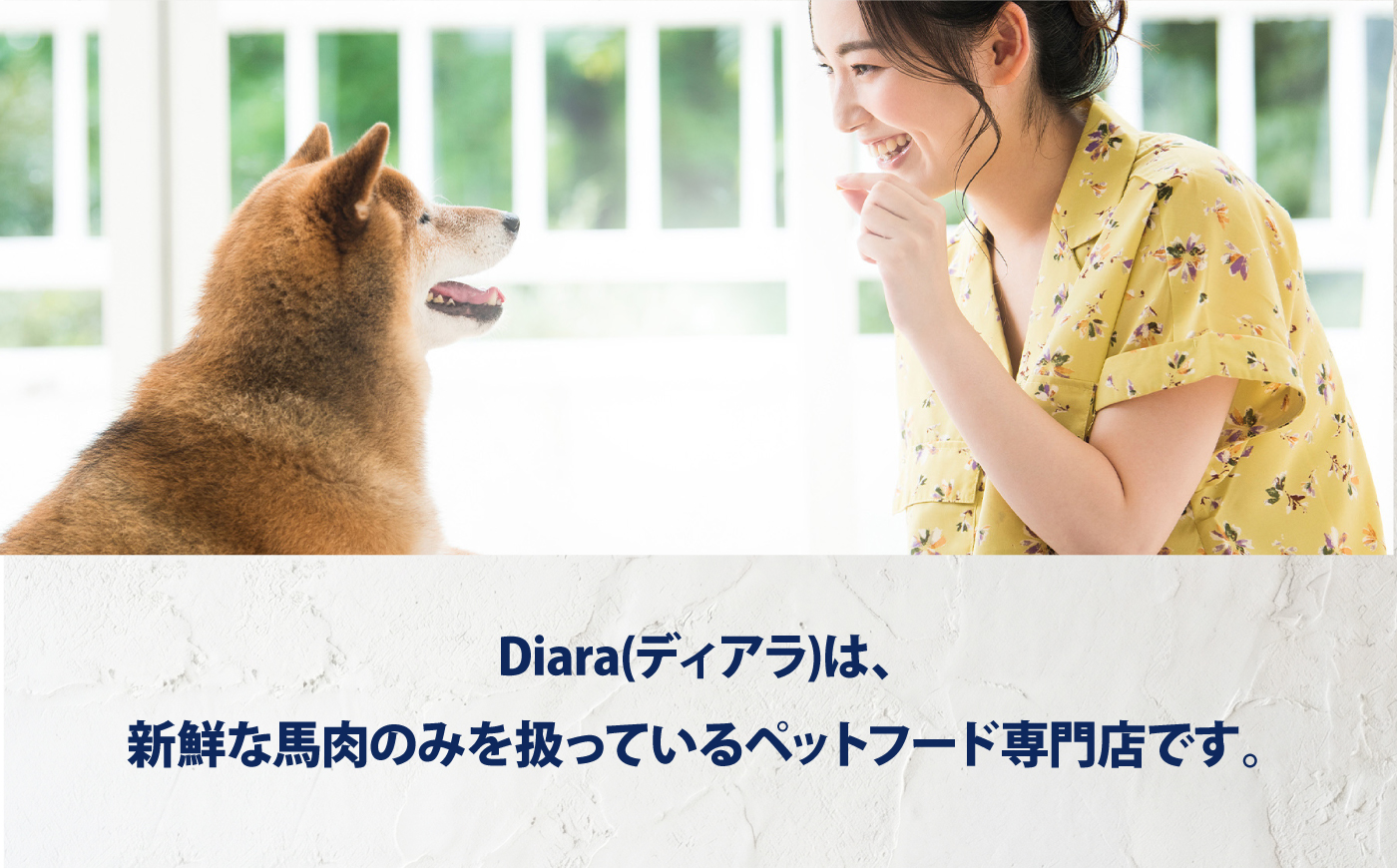 ドライ馬肉パーフェクトプラス クランチ 5連パック 3セット【ディアラ】 [AKGU014]