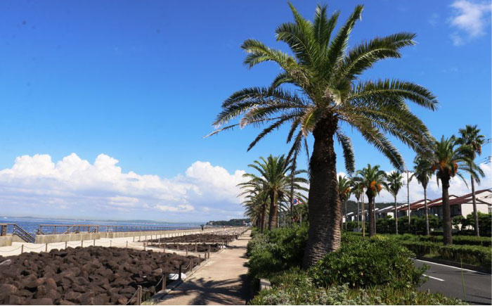 【応援寄附金】神奈川県横須賀市 返礼品なしのご寄附（10,000円）【横須賀市】 [AKZZ032]