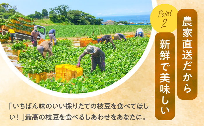 【先行予約】【数量限定100セット】はねっ娘 枝豆 1.5kg（300g×5袋）【有限会社岩崎ファーム】えだまめ 枝豆 あまおとめ [AKCZ001]