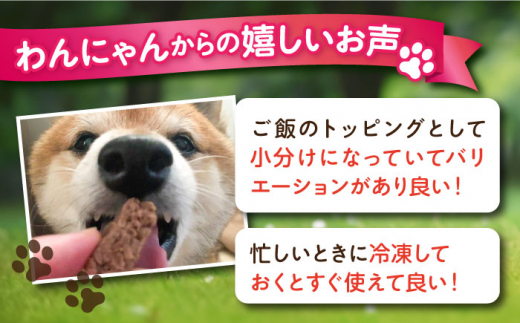 【全12回定期便】ペットフード 鹿肉 100%ハンバーグ 10個セット ペット 犬 猫 手作り 国産 てづくり こだわり ドッグフード  横須賀 【ペットフードYM japan】 [AKEX013]
