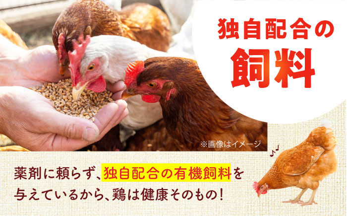 【全3回定期便】安田養鶏場の卵 アトムくん 30個入り 横須賀市 産地直送 割れ保証付き たまご 黄身 濃厚 卵 玉子 タマゴ 鶏卵  【安田養鶏場】 [AKHN009]