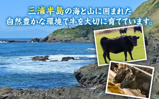 葉山牛 切り落とし300g×2パック 計600g 小分け 牛肉 切り落とし 和牛 きりおとし 横須賀 冷凍  【株式会社羽根】 [AKAG001]