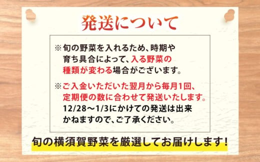 【全12回定期便】すずなり採れたて野菜BOX（5〜7品目）野菜セット 詰め合わせ 季節野菜 やさい 産地直送 旬 新鮮 横須賀【鈴也ファーム】 [AKCE004]