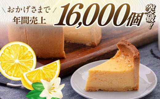 チーズケーキ 5号（15cm) 4〜6人分 スイーツ ケーキ ちーずけーき おやつ 本格 横須賀 【日本水産観光株式会社】 [AKBR001]