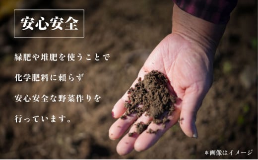 横須賀産野菜セット 10種 詰め合わせ　野菜 セット 詰め合わせ 横須賀 横須賀野菜 キャベツ 玉ねぎ ブロッコリー なす にんじん きゅうり さつまいも 里芋 ゴーヤ 大根 ほうれん草【横須賀商工会議所 おもてなしギフト事務局（三浦半島直売所）】 [AKES003]